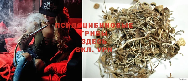 МДПВ Белокуриха
