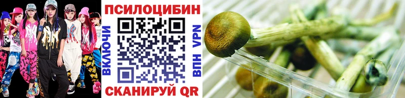 mega зеркало Свободный Псилоцибиновые грибы Cubensis